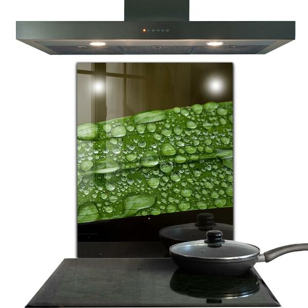 Nástenný panel  Zelený list po daždi