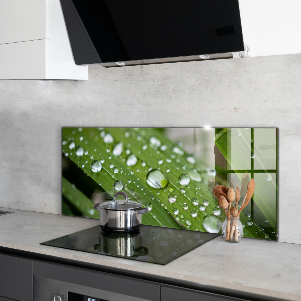 Nástenný panel  Kvapky rosy na tráve