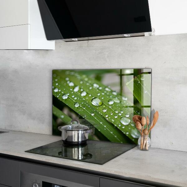 Nástenný panel  Kvapky rosy na tráve