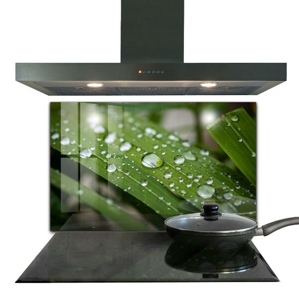 Nástenný panel  Kvapky rosy na tráve