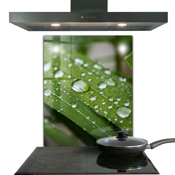 Nástenný panel  Kvapky rosy na tráve