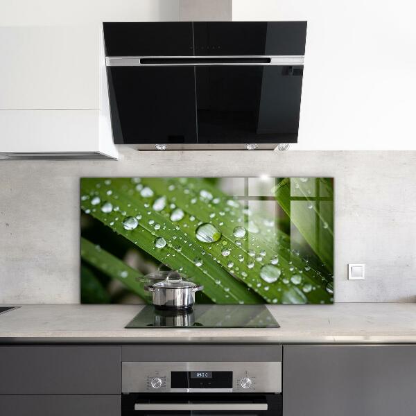 Nástenný panel  Kvapky rosy na tráve