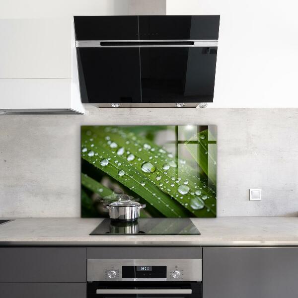 Nástenný panel  Kvapky rosy na tráve