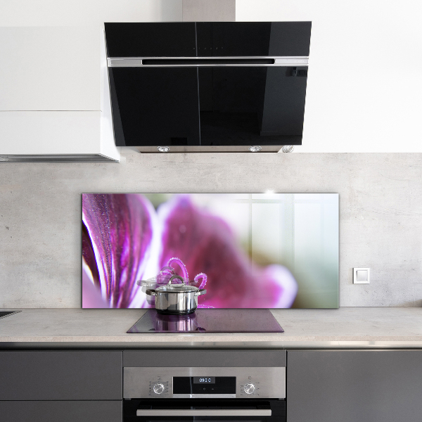 Nástenný panel  Podrobnosti o prírode ružového kvetu