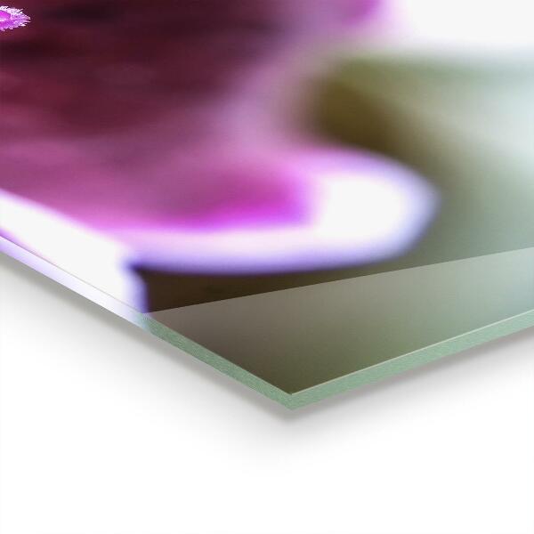 Nástenný panel  Podrobnosti o prírode ružového kvetu