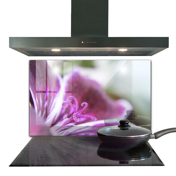 Nástenný panel  Podrobnosti o prírode ružového kvetu