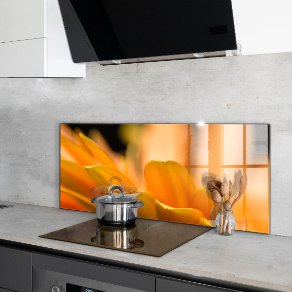 Nástenný panel  Gerber kvet