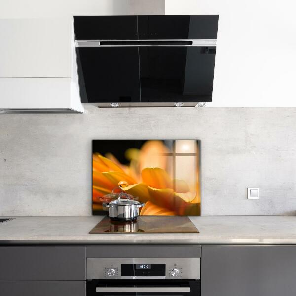 Nástenný panel  Gerber kvet