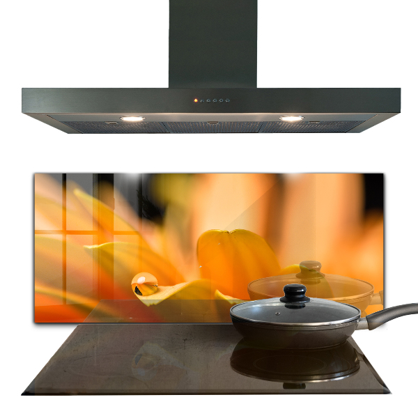 Nástenný panel  Gerber kvet