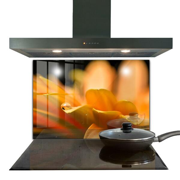 Nástenný panel  Gerber kvet