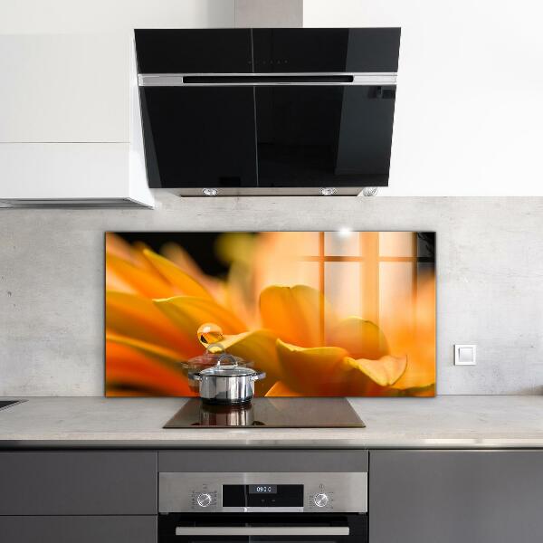 Nástenný panel  Gerber kvet