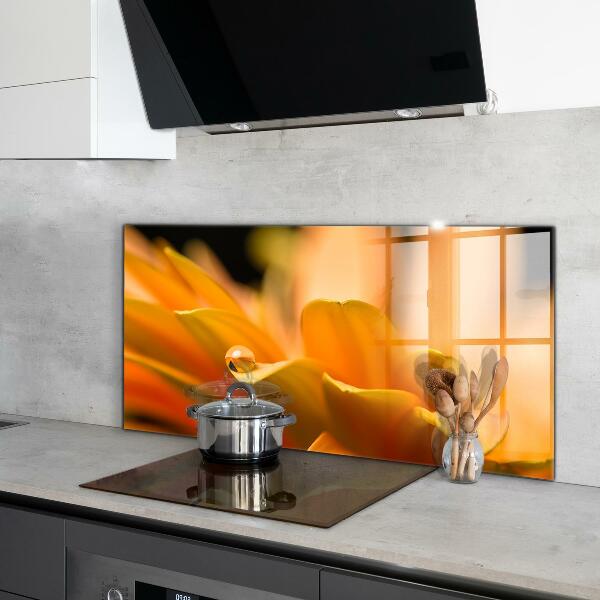 Nástenný panel  Gerber kvet