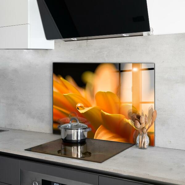 Nástenný panel  Gerber kvet