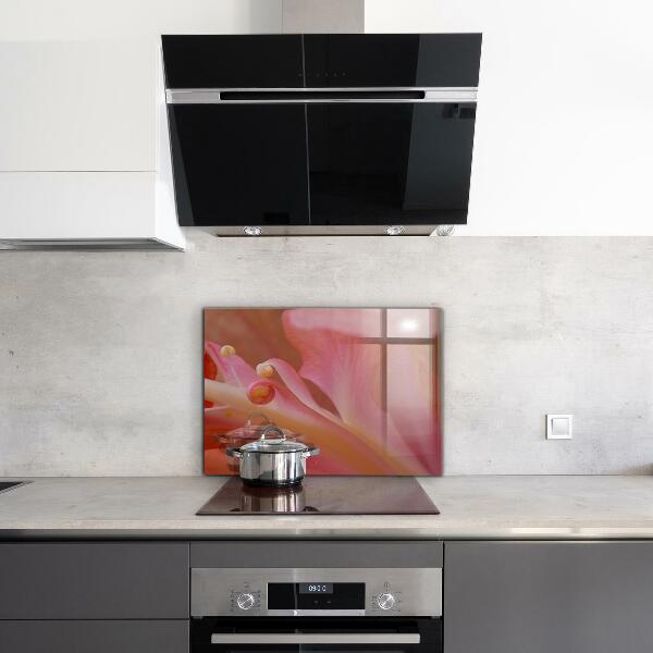 Nástenný panel  Kvetinový peľ príroda