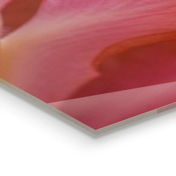 Nástenný panel  Kvetinový peľ príroda