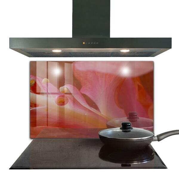 Nástenný panel  Kvetinový peľ príroda