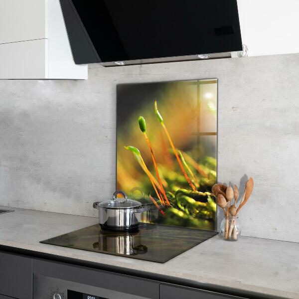 Nástenný panel  Podrobnosti o lesnom machu