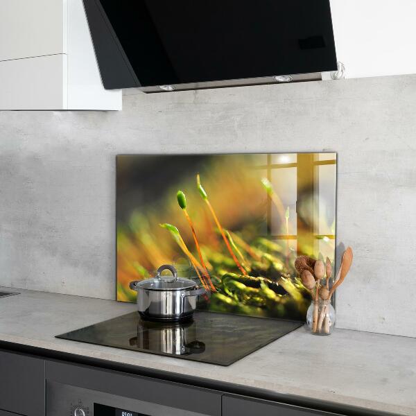 Nástenný panel  Podrobnosti o lesnom machu