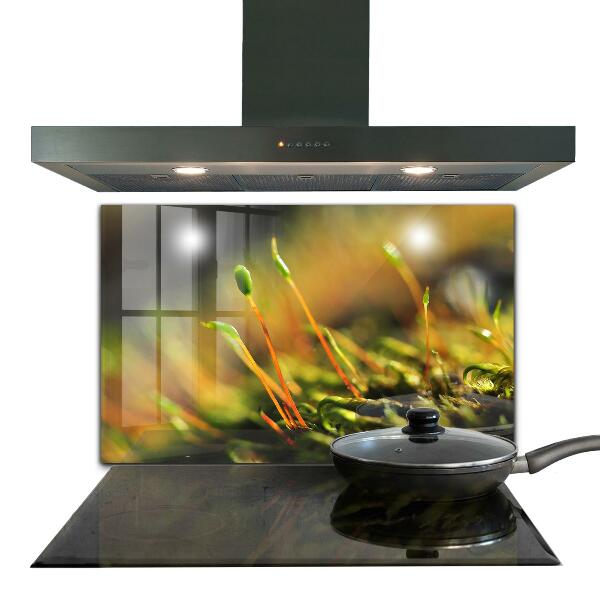 Nástenný panel  Podrobnosti o lesnom machu