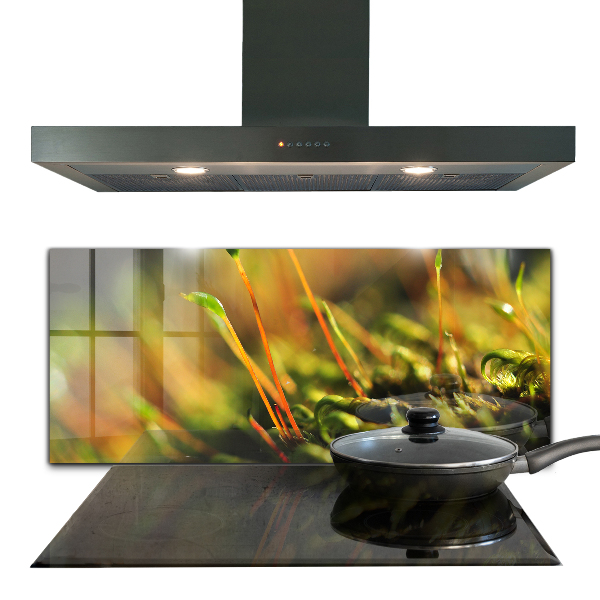 Nástenný panel  Podrobnosti o lesnom machu