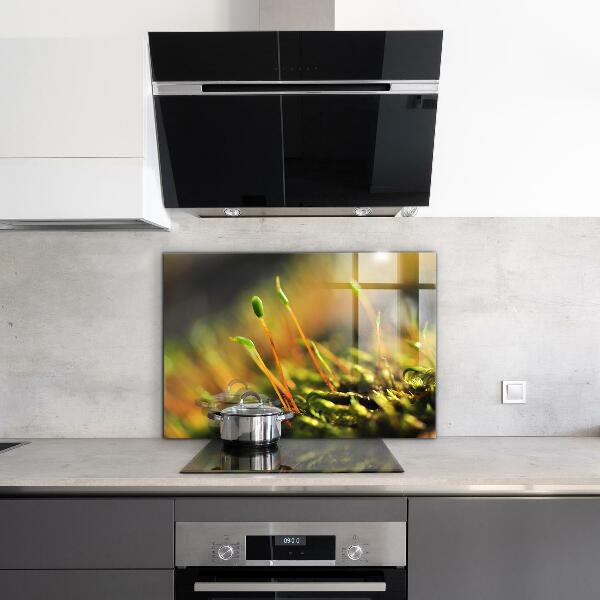 Nástenný panel  Podrobnosti o lesnom machu