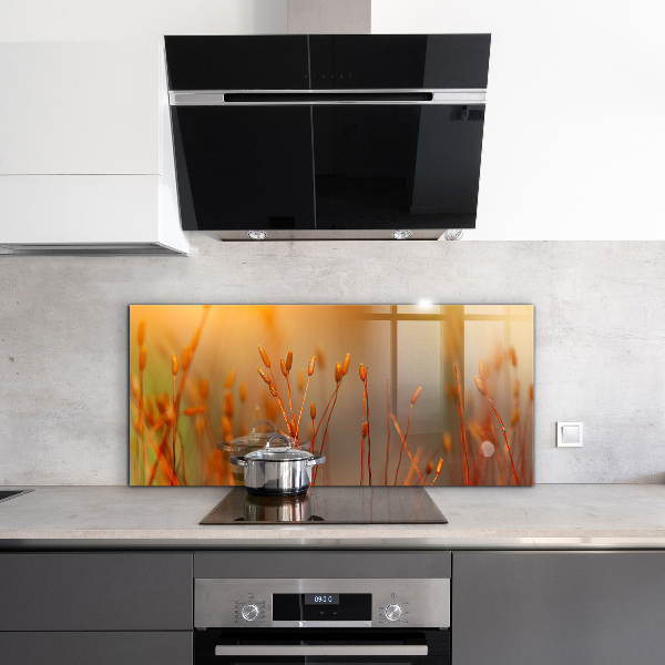 Nástenný panel  Obilné pole pri západe slnka