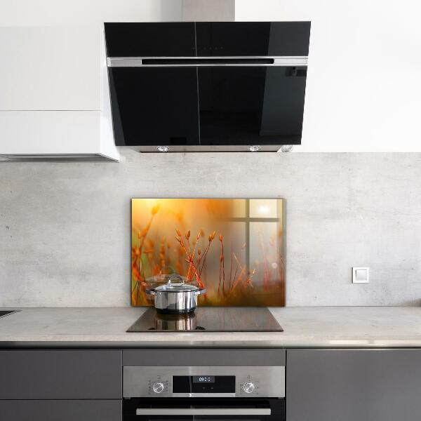 Nástenný panel  Obilné pole pri západe slnka