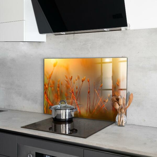 Nástenný panel  Obilné pole pri západe slnka