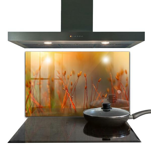 Nástenný panel  Obilné pole pri západe slnka