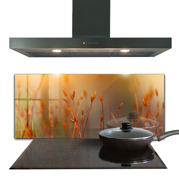 Nástenný panel  Obilné pole pri západe slnka