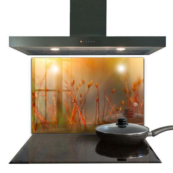 Nástenný panel  Obilné pole pri západe slnka