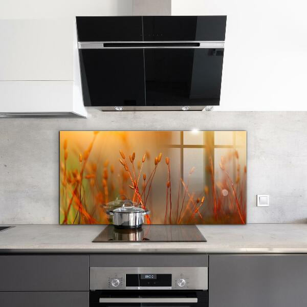 Nástenný panel  Obilné pole pri západe slnka