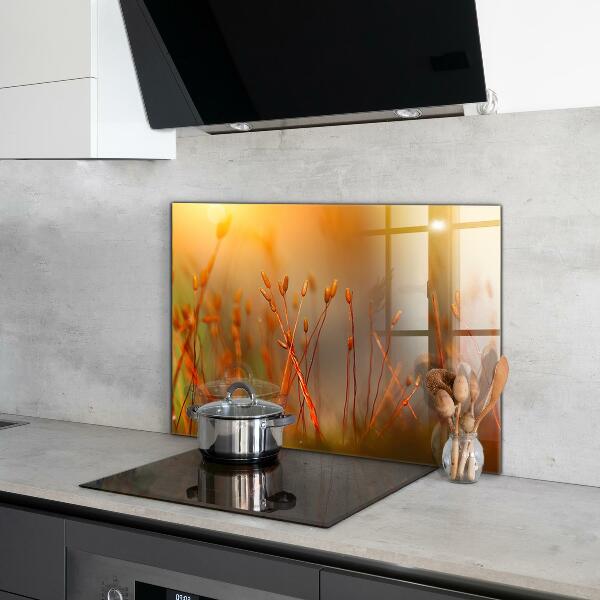 Nástenný panel  Obilné pole pri západe slnka