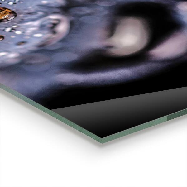 Sklenený obklad do kuchyne Šťavnaté čučoriedky