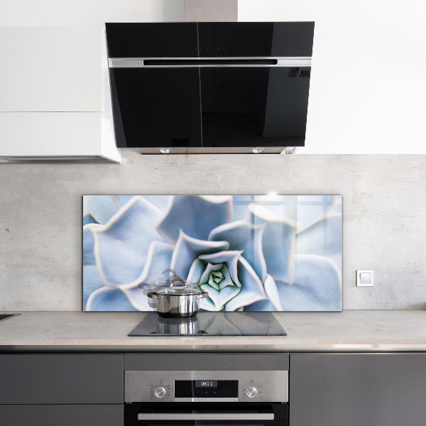 Nástenný panel  Sukulentný kaktus