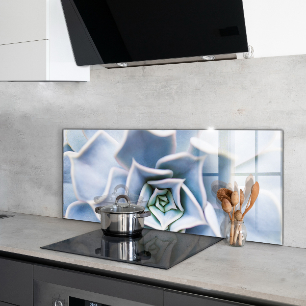 Nástenný panel  Sukulentný kaktus