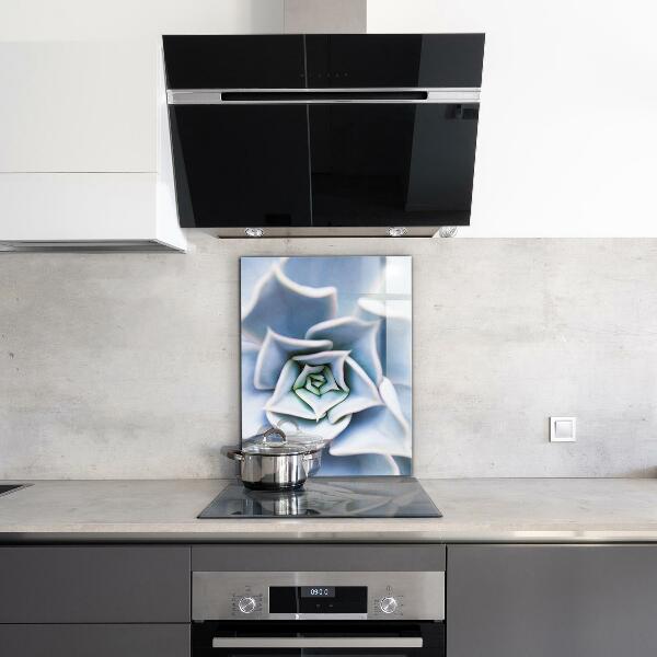 Nástenný panel  Sukulentný kaktus