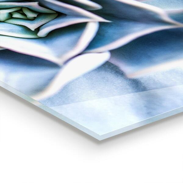 Nástenný panel  Sukulentný kaktus