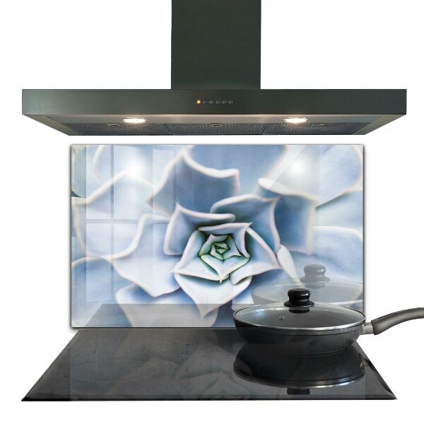 Nástenný panel  Sukulentný kaktus