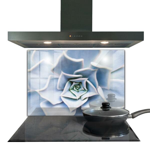 Nástenný panel  Sukulentný kaktus