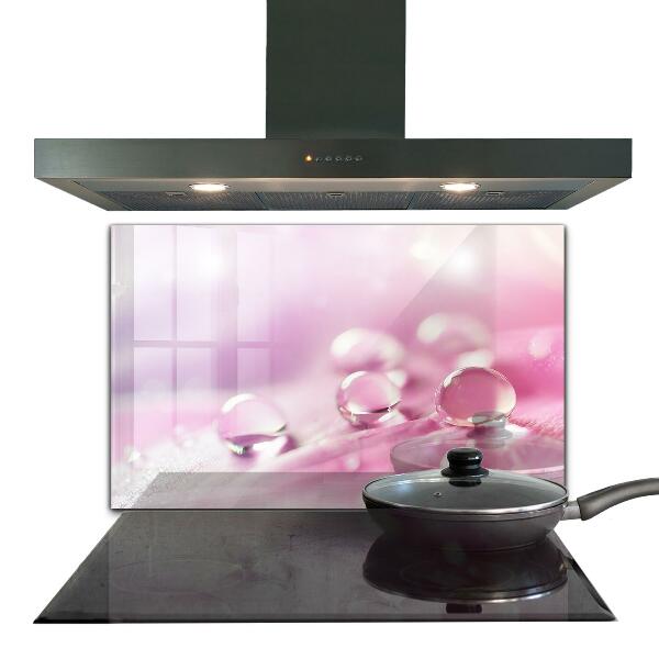 Nástenný panel  Kvapky rosy na ružovom kvete