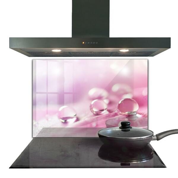 Nástenný panel  Kvapky rosy na ružovom kvete