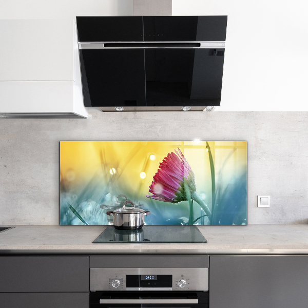 Nástenný panel  Jemná daisy na lúke