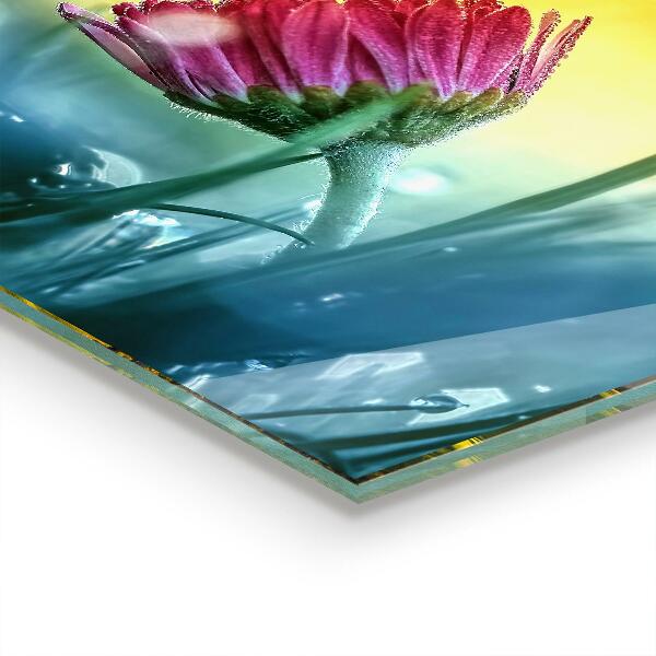 Nástenný panel  Jemná daisy na lúke