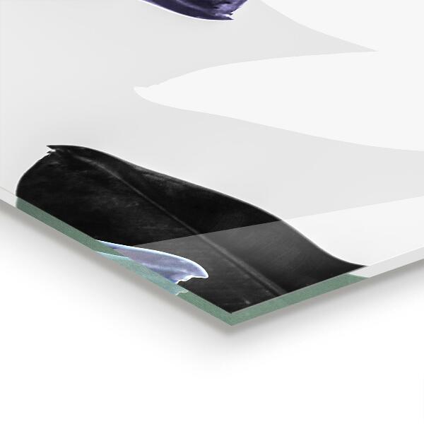 Nástenný panel  Exotické listy ilustrácie