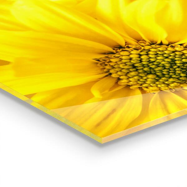 Nástenný panel  Letné žlté kvety