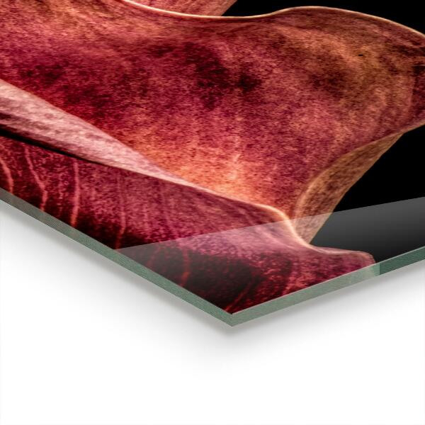 Nástenný panel  Elegantný jemný list