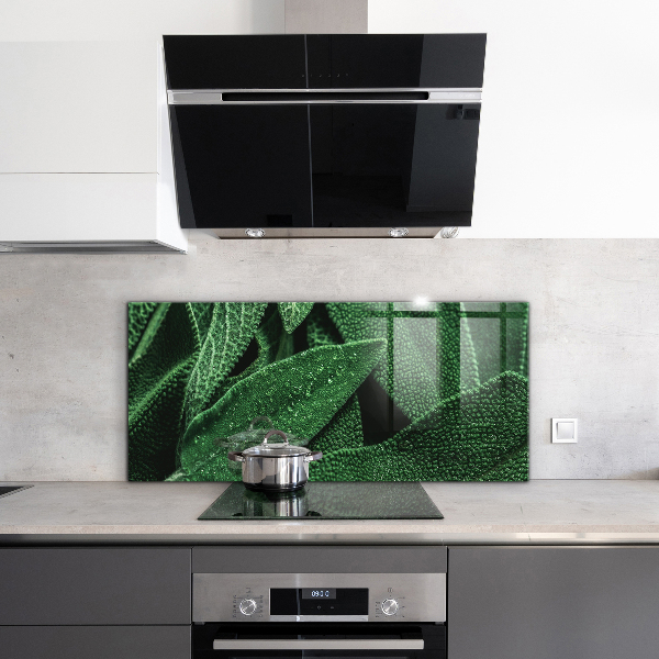 Nástenný panel  Zelené listy po daždi