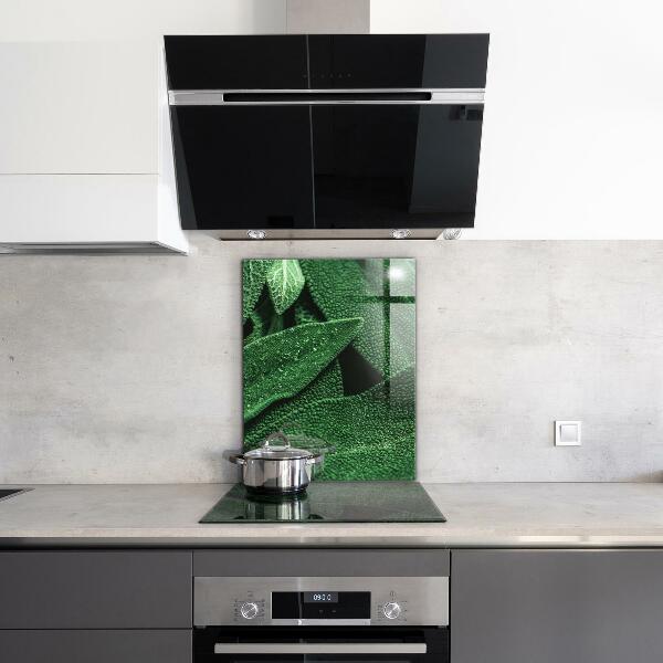 Nástenný panel  Zelené listy po daždi