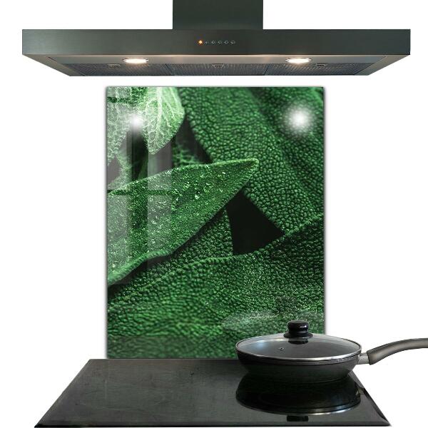 Nástenný panel  Zelené listy po daždi